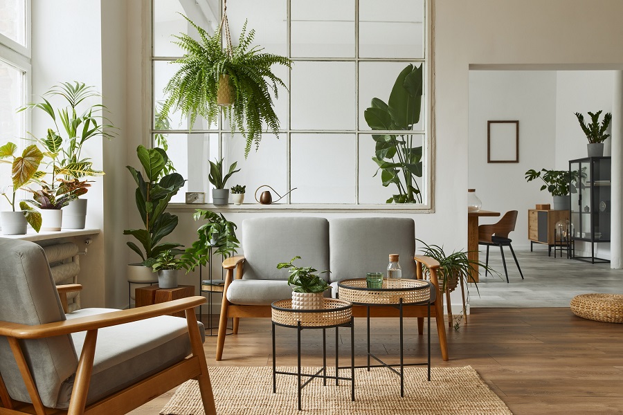 Modernes skandinavisches Wohnzimmer mit Pflanzen